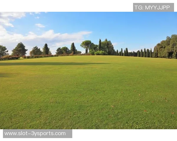 足球场铺草坪的科学与艺术如何提升比赛质量与观众体验